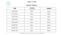 SALE - Molly Dress Purple Haze